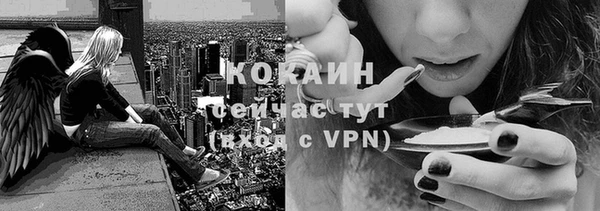 ешки Верхний Тагил