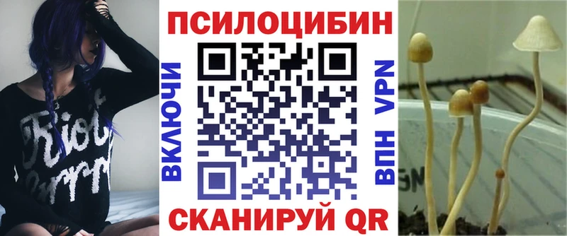 Галлюциногенные грибы мицелий  Купить  Гвардейск 